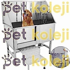 Köpek Yıkama ve Banyo İşlemi kopya