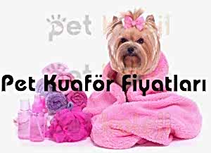 Pet kuaför fiyatları