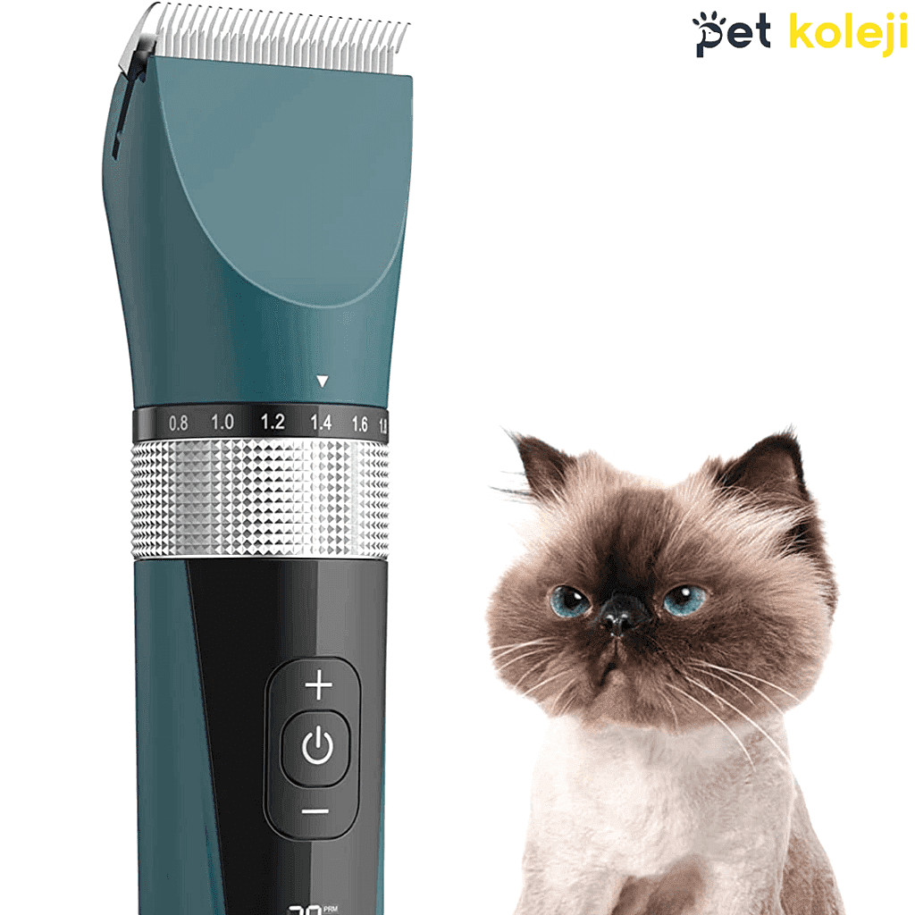 kedi traş makinesi