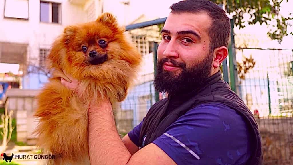 Köpek Eğitimi - En İyi Köpek Eğitmeni Merkezi İstanbul